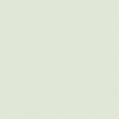 Half Square Triangle Ice 1609L | Edyta Sitar Sewing Bird | Quilting Fabric