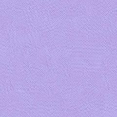 Dimples: Baby Viola: Bolt End