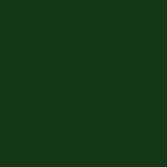 Spectrum: Dark Green 2000/J08 | Makower | Quilting Cotton