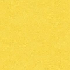Dimples: Golden 1867/Y23 | Makower Quilting Cotton