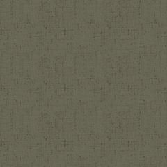 Cottage Cloth Shadow 2/428 C | Quilting Cotton | Andover