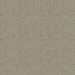 Cottage Cloth Fossil 2/428 C1 | Quilting Cotton | Andover: Bolt End