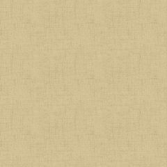 Cottage Cloth Creamery 2/428 L | Quilting Cotton | Andover