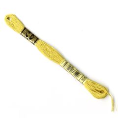 DMC Stranded Cotton: 834