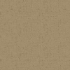 Cottage Cloth II Hazelnut 2/428 N3 | Quilting Cotton | Andover