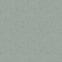 Cottage Cloth II Pebble 2/428 C3 | Quilting Cotton | Andover