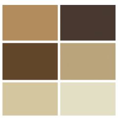 Spectrum Solids Fat Quarter Bundle: Pluto Brown | Quilting Cotton