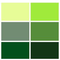 Spectrum Solids Fat Quarter Bundle: Earth Green | Quilting Cotton