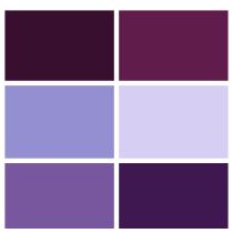 Spectrum Solids Fat Quarter Bundle: Mercury Purple | Quilting Cotton
