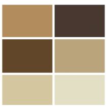 Spectrum Solids Fat Quarter Bundle: Pluto Brown | Quilting Cotton