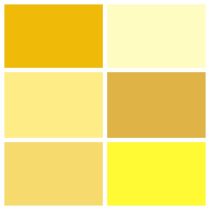 Spectrum Solids Fat Quarter Bundle: Saturn Yellows | Quilting Cotton