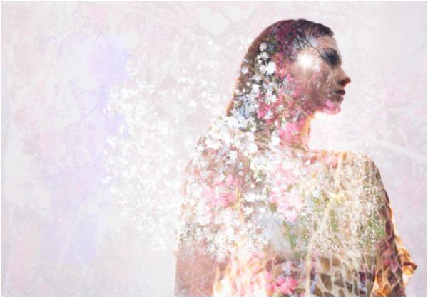 Papercut Patterns Sakura Collection At Backstitch